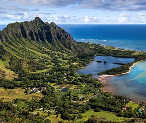 Hawaiian Paradise Tour Package with Waikiki Beach